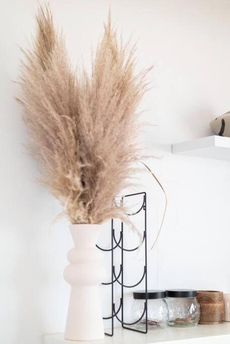 Bohemian, Neutral Close To Promenade * Cape Town